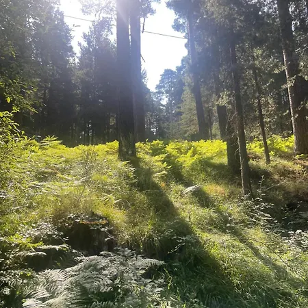 La Casa De Mis Padres 2 Appartement Arahuetes
