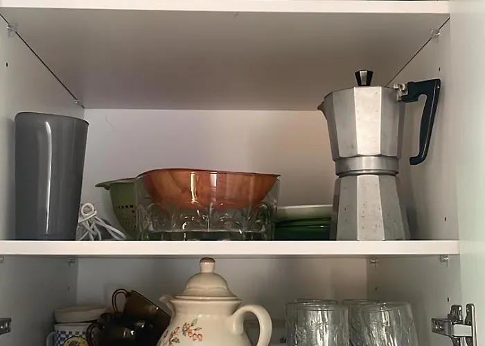 La Casa De Mis Padres 2