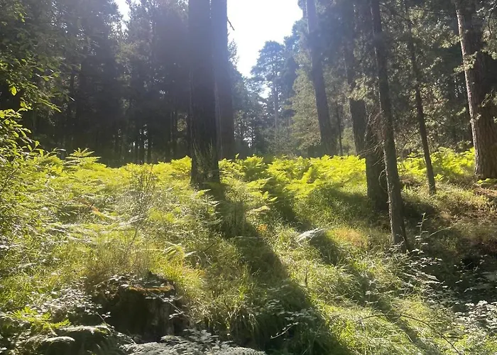 La Casa De Mis Padres 2 아파트 Arahuetes