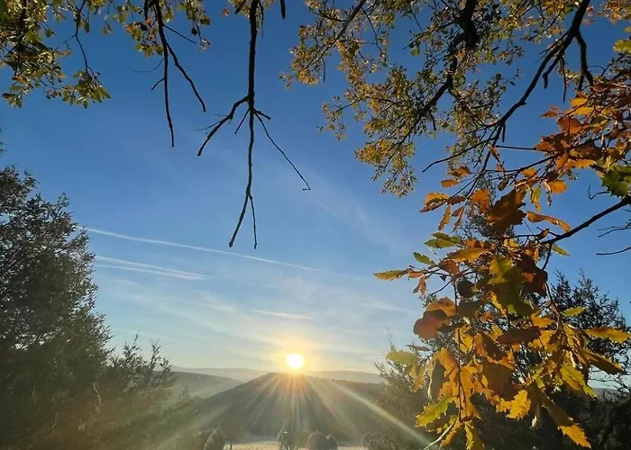 La Casa De Mis Padres 2 Arahuetes